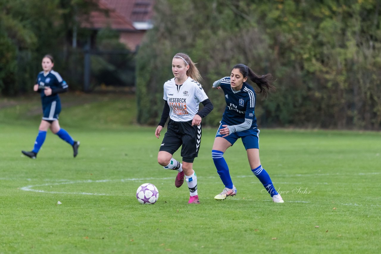 Bild 209 - B-Juniorinnen SV Henstedt Ulzburg - Hamburger SV : Ergebnis: 2:3